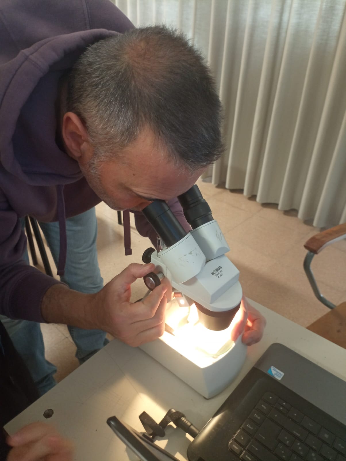 Il museo dei fossili, il museo itinerante fa tappa a Monsampolo