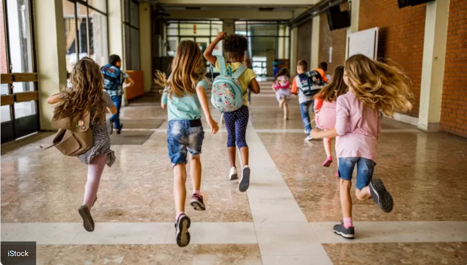 Il Dolce Addio ai Banchi di Scuola: Benvenuta Estate!